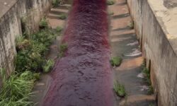 Prefeitura divulga nota sobre descarte irregular no Ribeirão Pirapitinga, em Catalão Prefeitura divulga nota sobre descarte irregular no Ribeirão Pirapitinga, em Catalão