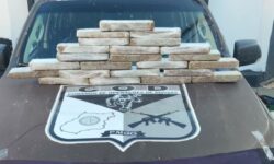 COD apreende 20 kg de maconha que seriam levados para Catalão; passageiro é preso COD apreende 20 kg de maconha que seriam levados para Catalão; passageiro é preso
