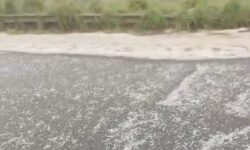 Chuva de granizo deixa BR-352 branca e faz motoristas pararem em Abadia dos Dourados; VÍDEO Chuva de granizo deixa BR-352 branca e faz motoristas pararem em Abadia dos Dourados; VÍDEO