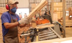 Goiás registra crescimento nos quatro segmentos da indústria Goiás registra crescimento nos quatro segmentos da indústria
