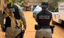 Motorista de 54 anos morre atropelado pelo próprio caminhão na zona rural de Catalão Motorista de 54 anos morre atropelado pelo próprio caminhão na zona rural de Catalão