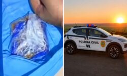 Dois homens são presos suspeitos de tráfico de drogas em Minaçu Dois homens são presos suspeitos de tráfico de drogas em Minaçu