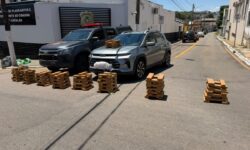 CPE apreende cerca de 150 quilos de drogas durante operação na BR-050, em Catalão CPE apreende cerca de 150 quilos de drogas durante operação na BR-050, em Catalão