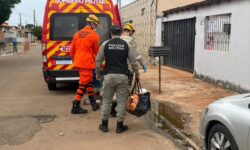 Mulher é presa suspeita de tentar matar o marido com pedaço de madeira em Catalão Mulher é presa suspeita de tentar matar o marido com pedaço de madeira em Catalão