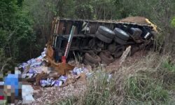 Caminhão carregado de alho bate em ponte e cai em ribanceira na GO-020, em Bela Vista de Goiás