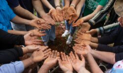 Mostra cultural gratuita compartilha registros de comunidade que se uniu para transformar vida de família de agricultores em Catalão Mostra cultural gratuita compartilha registros de comunidade que se uniu para transformar vida de família de agricultores em Catalão