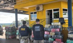 PRF e Polícia Civil do DF apreendem cerca de 3,5 toneladas de skunk na BR-153, em Morrinhos PRF e Polícia Civil do DF apreendem cerca de 3,5 toneladas de skunk na BR-153, em Morrinhos