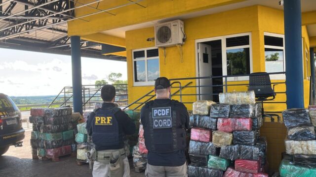 PRF e Polícia Civil do DF apreendem cerca de 3,5 toneladas de skunk na BR-153, em Morrinhos