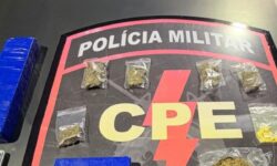 Mulher é conduzida à delegacia após apreensão de drogas e veículo em Catalão Mulher é conduzida à delegacia após apreensão de drogas e veículo em Catalão