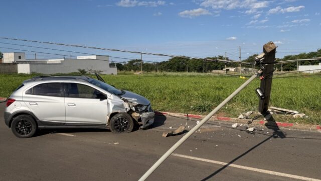 Motorista se distrai com cachorro dentro do carro e bate contra poste em Catalão