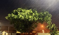 Chuva em Catalão tem rajadas de vento de 53 km/h e acumulados de até 33,8 mm Chuva em Catalão tem rajadas de vento de 53 km/h e acumulados de até 33,8 mm