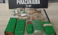 Polícia Civil apreende cerca de 4 kg de maconha na zona rural de Piracanjuba