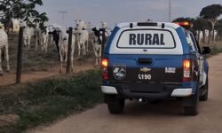 Batalhão Rural recupera bovino avaliado em R$ 25 mil em Urutaí