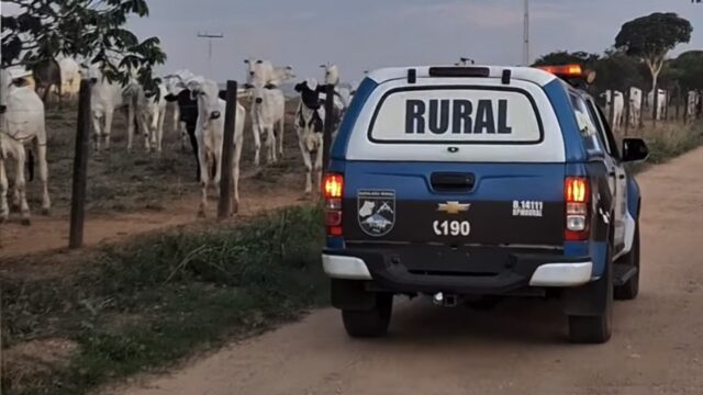 Batalhão Rural recupera bovino avaliado em R$ 25 mil em Urutaí