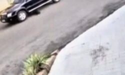 Câmera registra caminhonete atropelando cachorro em frente ao Hospital Municipal Santa Antônia, em Ouvidor Câmera registra caminhonete atropelando cachorro em frente ao Hospital Municipal Santa Antônia, em Ouvidor